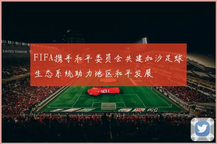 FIFA携手和平委员会共建加沙足球生态系统助力地区和平发展