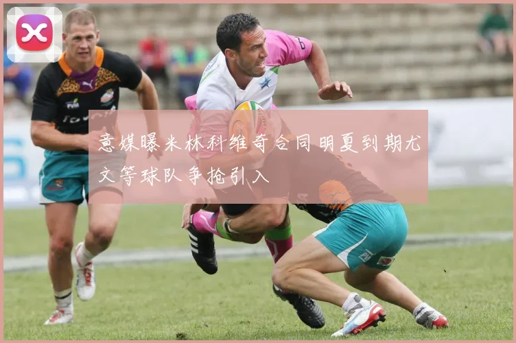 意媒曝米林科维奇合同明夏到期尤文等球队争抢引入